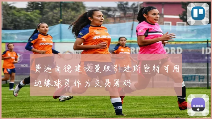 费迪南德建议曼联引进斯密特可用边缘球员作为交易筹码