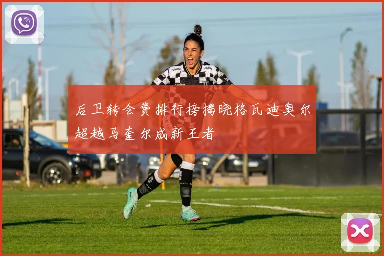 后卫转会费排行榜揭晓格瓦迪奥尔超越马奎尔成新王者